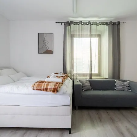 Coy - Near Uni & Station With 24 7 Check-in Apartment Leoben (Styria)