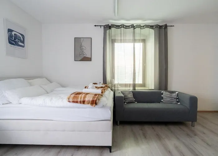 Coy - Near Uni & Station With 24 7 Check-in Apartment Leoben (Styria)